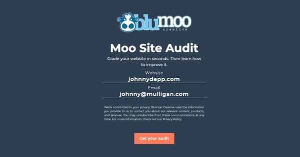 Moo Site Audit!