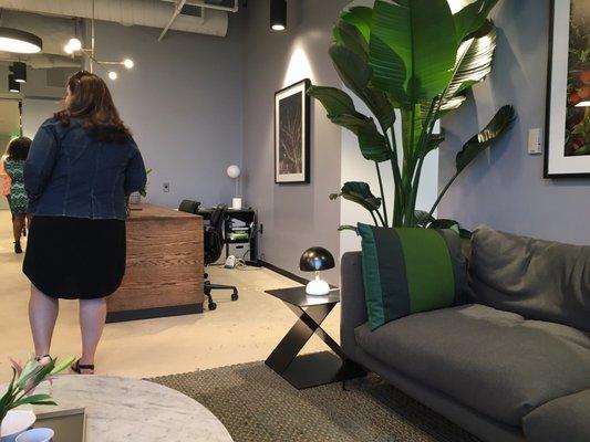 Lousy photo of couch & tropical plant area. Is really two couches and a modern leather chair with four large leafy greens. All spots comfy.