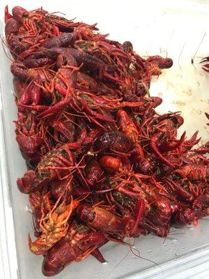 Boiled crawfish $3.29lb!