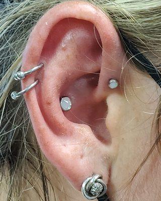 Forward Helix and Conch piercing done with Opalite tops. Two Helix piercings with simple rings.