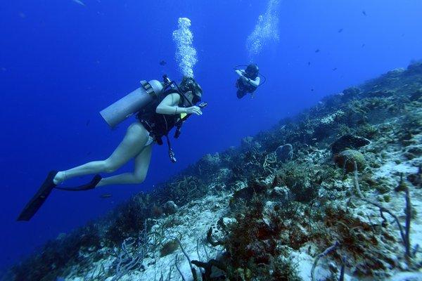 Scuba diving in Cozumel