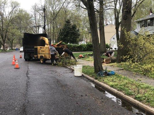 Storm damage clean up-Same day Tree Removal Service