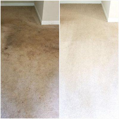 When you think your carpet is beyond cleaning... call Chris' AAA Carpet Cleaning to give you clean carpets. 864-578-8097