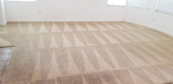 Carpet Steam cleaning.