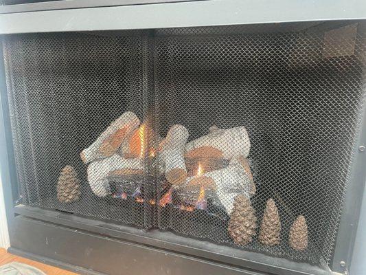 Clean fireplace!