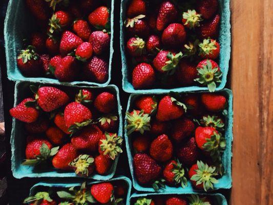 Little Rock Farmers' Market