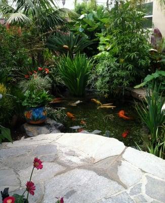 Our outdoor waiting room by the Koi Pond