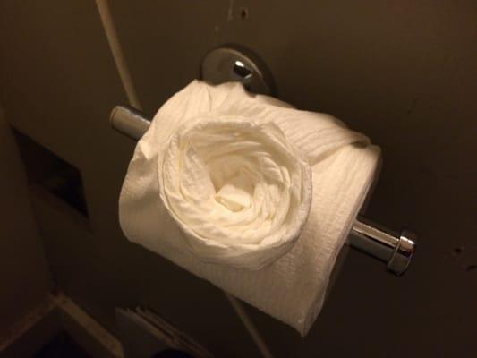 beautiful toilet paper art