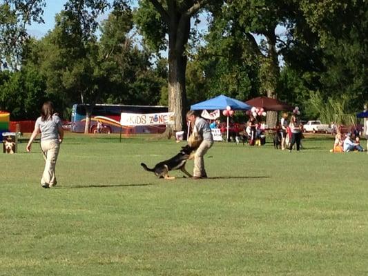 Cop dog demonstration.