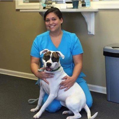 Kathryn helps dogs hear!