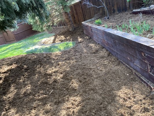 Mulched tree rings