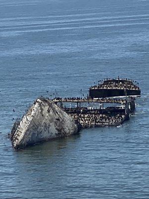 She's SS Palo Alto Cement Ship! @Seacliff State Beach Aptos CA Sat 8/26/23