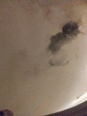 Leaky Wall, Is that Black MOLD? Or what type of mold is this...