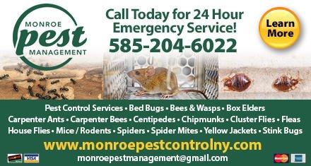 Monroe Pest Management