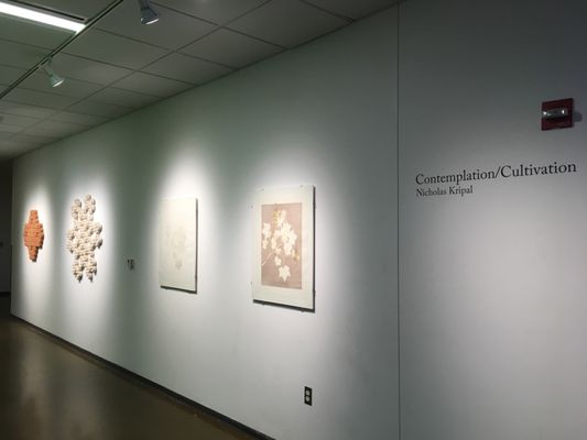 Hallway exhibit