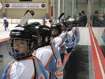 There are a variety of skill level based youth and adult recreational hockey leagues available to join!