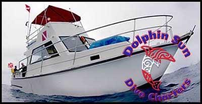 Dolphin Sun Dive Charters