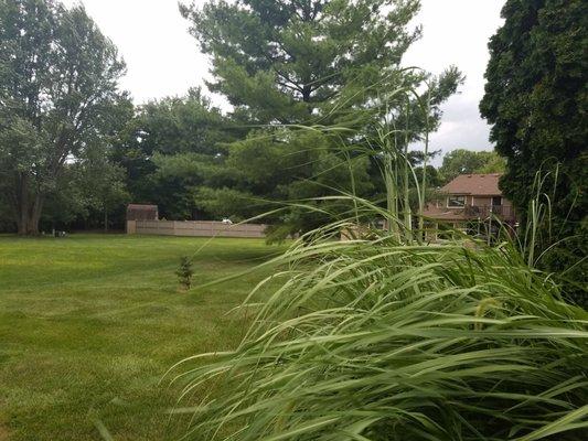 Storms blowing in relieving heat