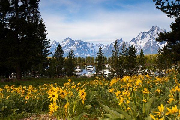 We're located just a few minutes walk from the shores of Jackson Lake and the Colter Bay Marina. Dine in or order to go and eat lake side.