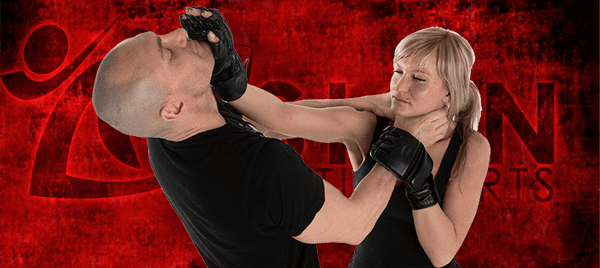 Vision Martial Arts Krav Maga