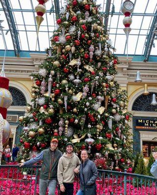 Bellagio Conservatory during Christmas!