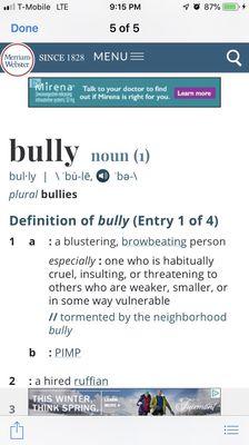 Definition of bullying