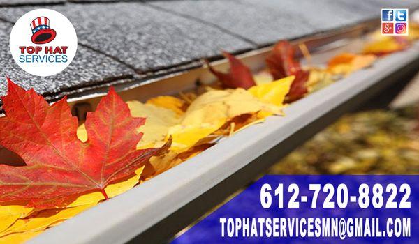 Gutter Cleaning Services