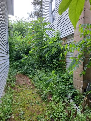 Overgrowth between customers home and foreclosured property that needed to be cleaned up inorder to do to replace customers roof.