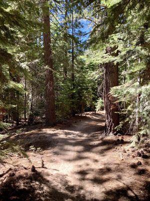 Cold Creek Trail