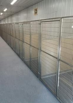 Cleanest kennels, with fight guards so dogs can't see each other!