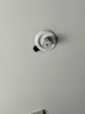 Hole in celling