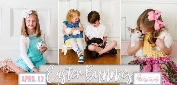 LIVE Bunnies are coming to House of Photography! April 17.