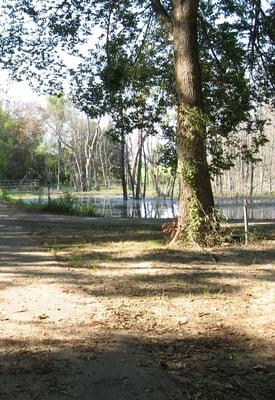 Trail by Granpa's Pond