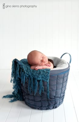 One of my favorites of 6 day old Ken! Taken in my Danbury studio