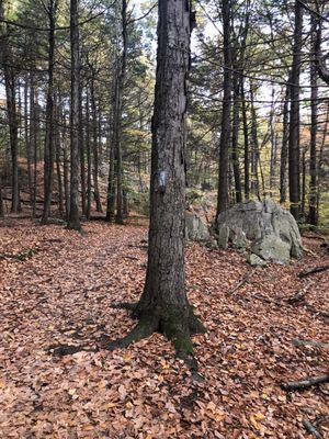 Wilson Mountain Reservation