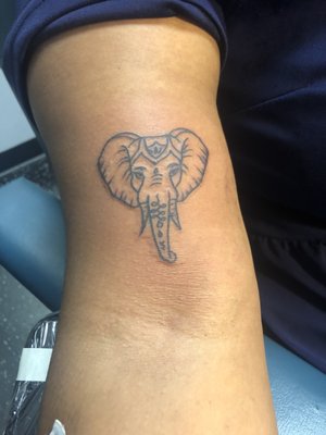 Elephant