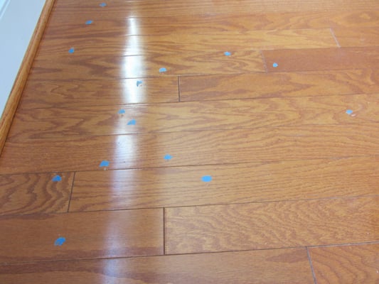 Floor damage done either by Minkoff or their subcontractor ACM. Each piece of painter's tape is a ding or scratch.