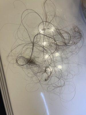 This is just a small portion of the strands coming out of my head!