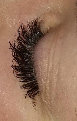 Volume Lashes