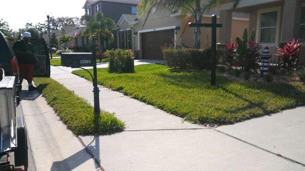 Before pic that we mowed, edged, weed eater, blowed off debris on hard surface.