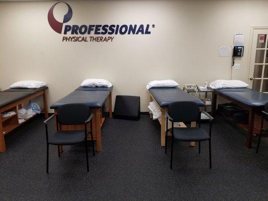 Professional Physical Therapy