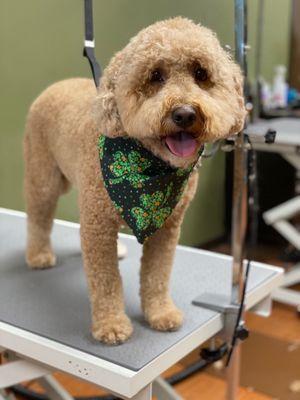 Warm weather hair cut!