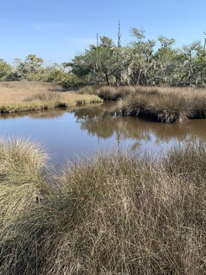 Marshland