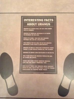 Cool facts about Uranus on the bathroom floor!