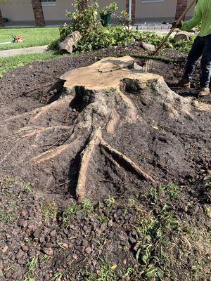 Stump removal