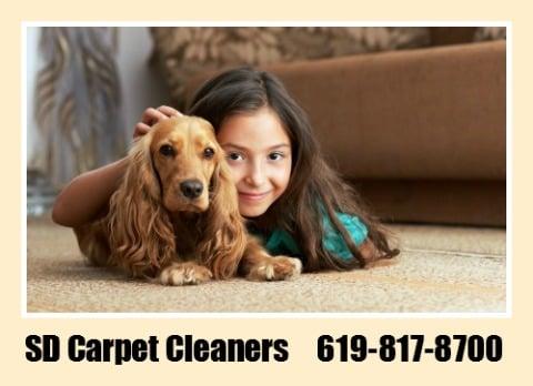 Natural Carpet Cleaning that's safe for the kids, pets and carpet.