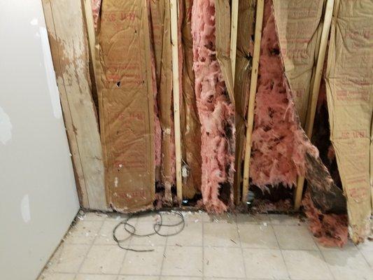 They installed sheetrock over this wet moldy insulation. The roof is leaking inside the wall and they never repaired it as hired.