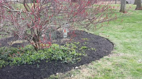 New mulch and edged the entire flower bed the right way