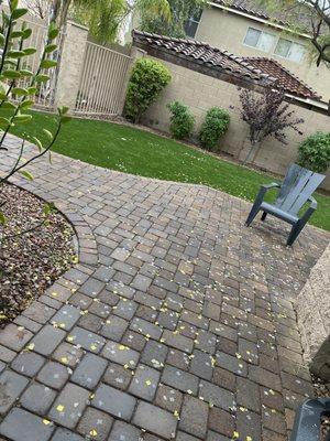 Pavers turf and pool fence