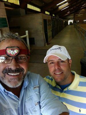 Fantasy Paso Finish Tampa with one of the best Paso Finish Trainers, Mr Dadier Rosario